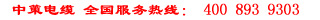 中策電纜