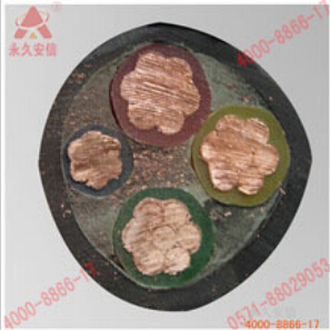 國標(biāo)YJV 3&times;16+1&times;10.jpg