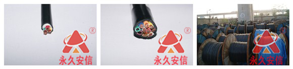 FS-ZR綜合線.jpg FS-ZR綜合線.jpg