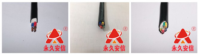 FS-ZR綜合線.jpg FS-ZR綜合線.jpg