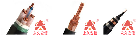 電力電纜.jpg