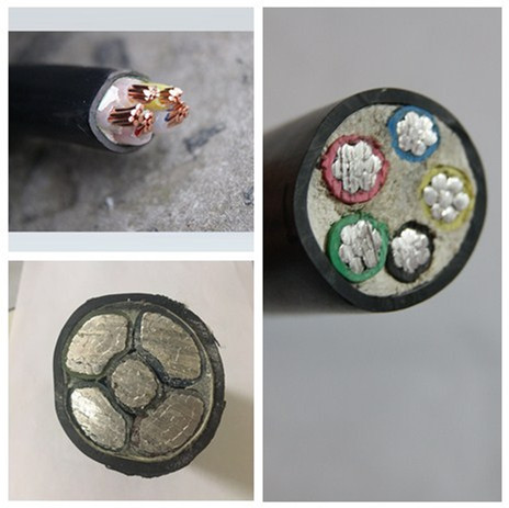 中策電纜