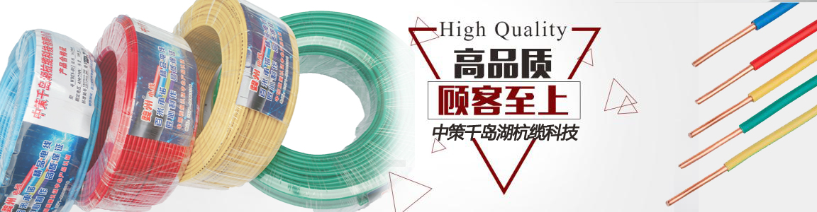 中策電線 中策電線