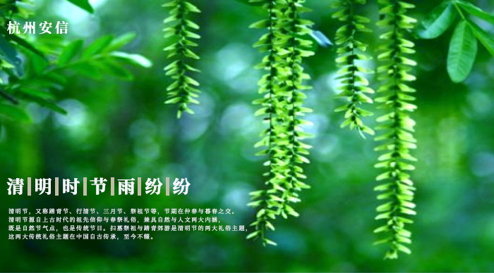 清明節(jié) 清明節(jié)