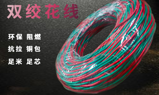 雙絞線 雙絞線