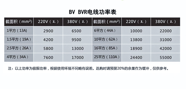 BV和BVR電功率表 BV和BVR電功率表