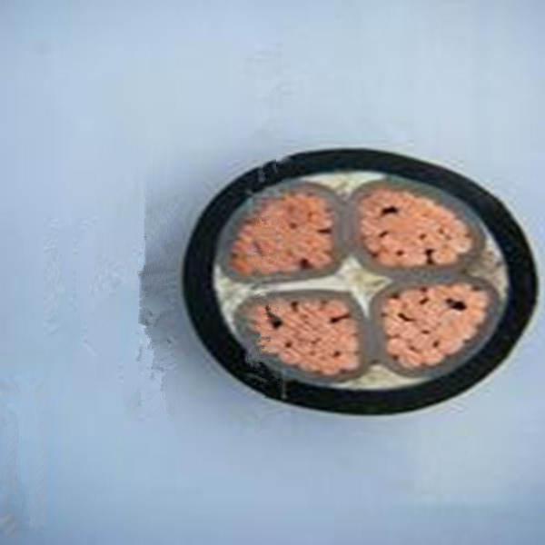 銅芯電纜廠家劉工分析電工知識【杭州安信】