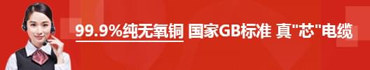 中策電纜
