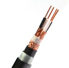 計(jì)算機(jī)電纜DJYPVP22--2X2X1.5