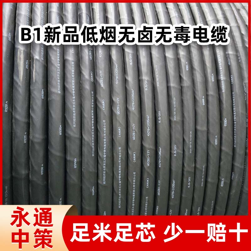 永通中策低煙無鹵電纜 4×1.5-400平方WDZB1-YJY電纜廠家批發(fā)
