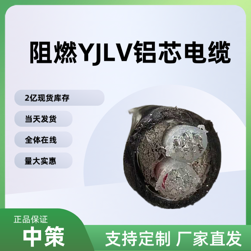 中策阻燃ZR-YJLV鋁芯電纜 國標(biāo)2×10平方阻燃電纜廠家直銷